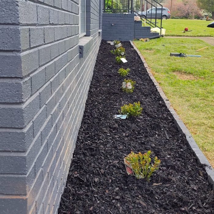 476211353_535023026253476_2741191308212167473_n