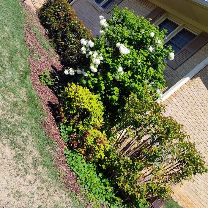 476228660_535035466252232_7747524958230067632_n