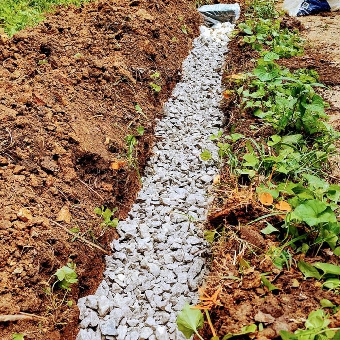 476236489_535678242854621_2814579336543135471_n