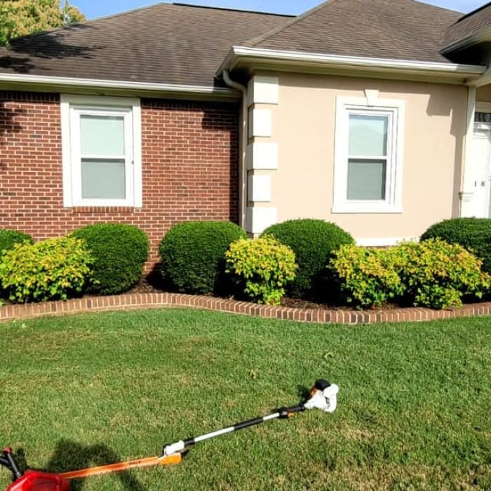 476401756_538854599203652_8467276435718766264_n