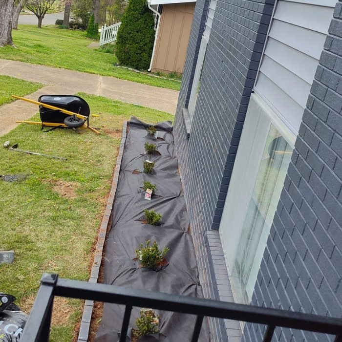 476438701_535023239586788_5486873081456973311_n