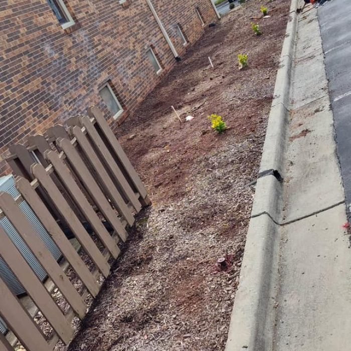 476449045_538541009235011_7624513991392867575_n