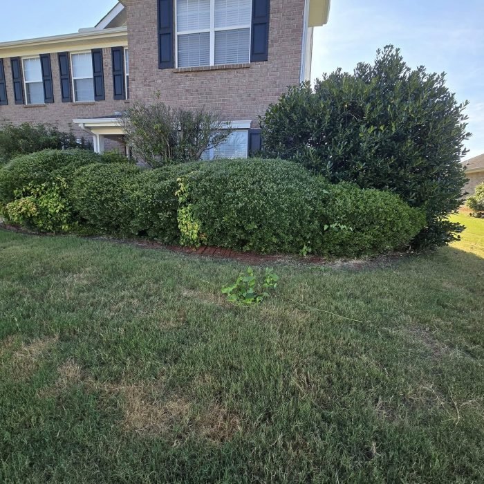 476453269_539259035829875_2655539828309386602_n