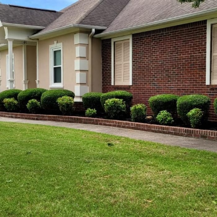 476629869_538854742536971_3984753733798163367_n