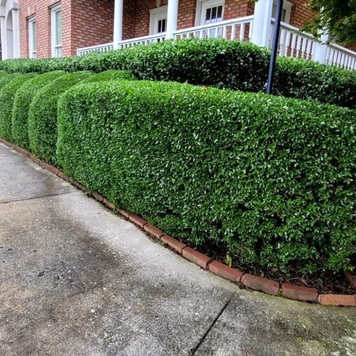 476632243_538854779203634_696379388317760788_n