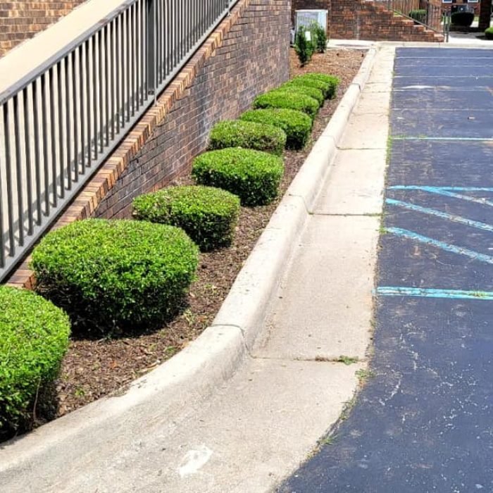 476637837_538855729203539_8622943029357994397_n