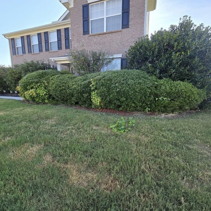 476642034_539258959163216_3257030091563873208_n