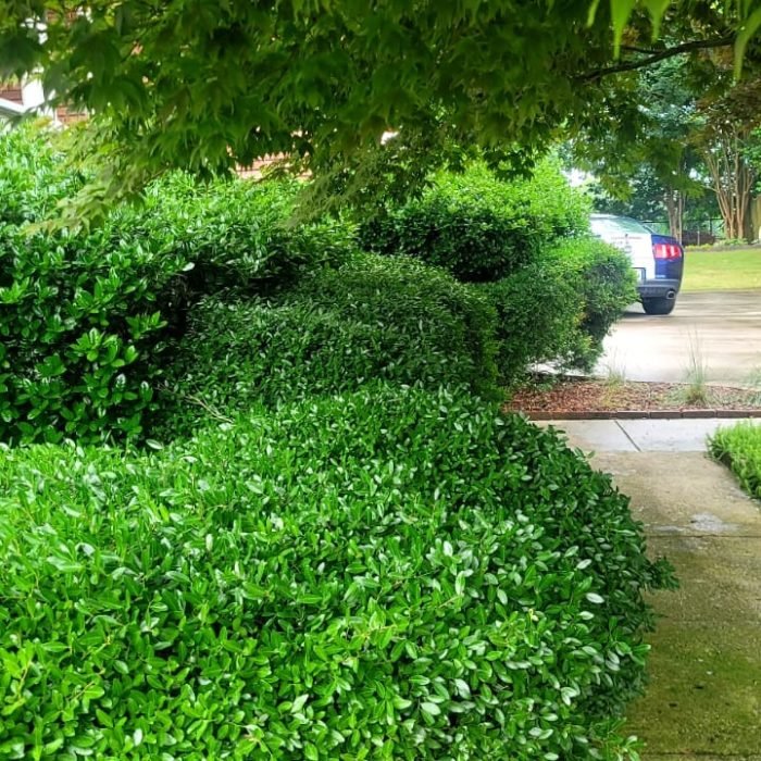 476642878_538854865870292_1304477332050897573_n