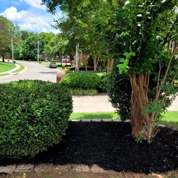 476904936_538854575870321_8467024429076042181_n