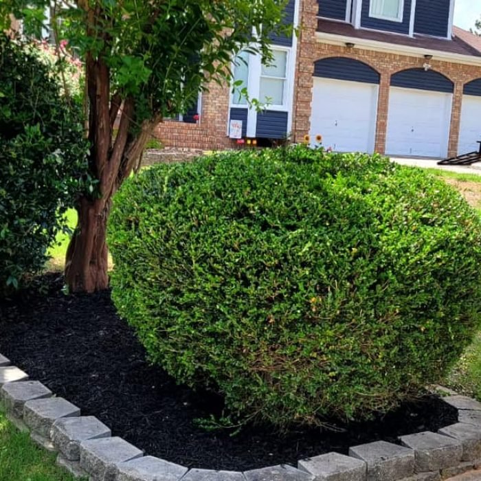 477008342_538854559203656_4442555265043687229_n