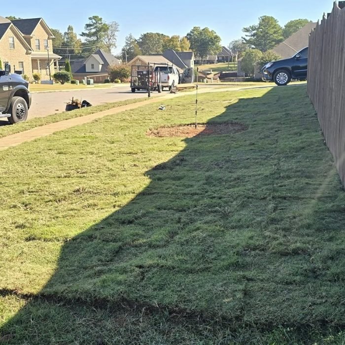 477046057_540282472394198_1067832382808442010_n