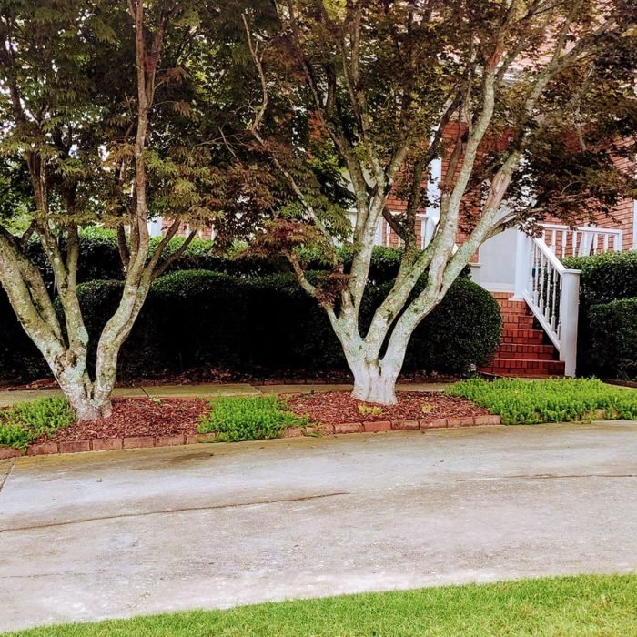 477116129_538854395870339_2257117946642820696_n