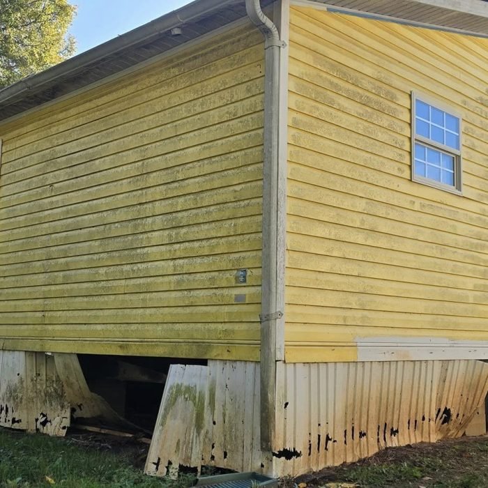 477126470_540292555726523_8443975892389884533_n