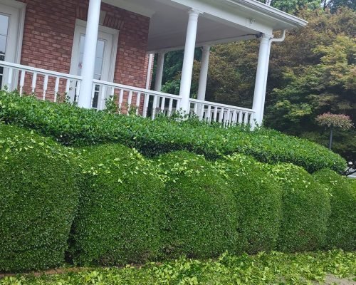 477195822_538854829203629_3663144145056918623_n