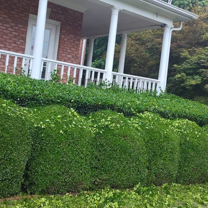 477195822_538854829203629_3663144145056918623_n