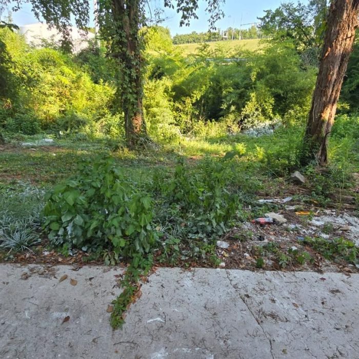 477227533_539932135762565_4733806784771140262_n