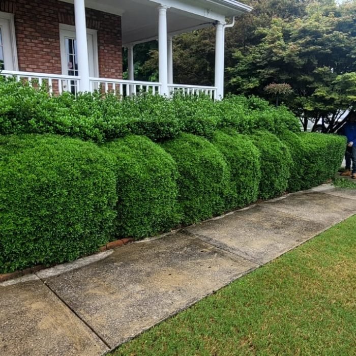 477268854_538854879203624_1792758000426376940_n