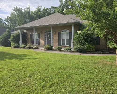 477303821_539265769162535_9141291795268735268_n