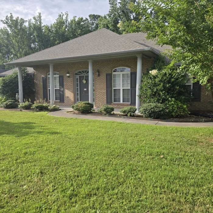 477303821_539265769162535_9141291795268735268_n