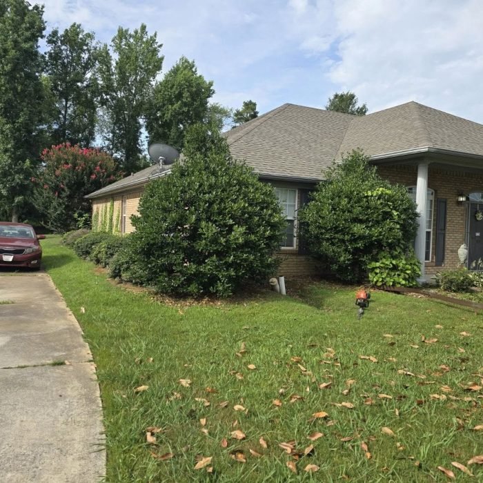 477622106_539265949162517_529285307546699893_n