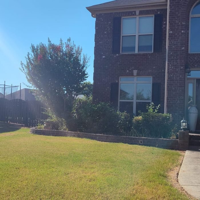 477728120_539254005830378_7417667639065187456_n