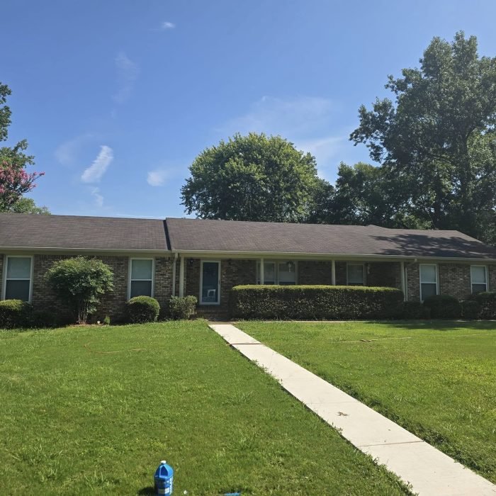 477734960_539306685825110_1755020803043100426_n