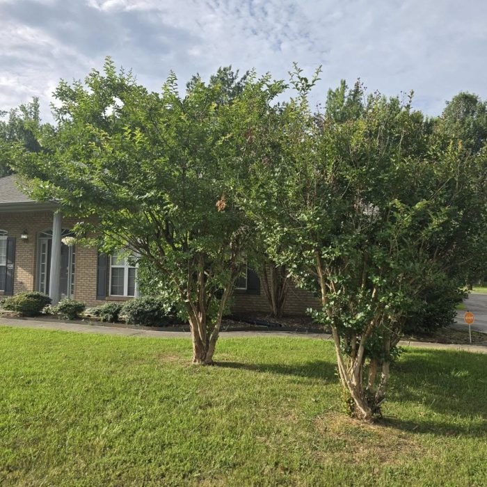 478070752_539265935829185_2304813308648937849_n