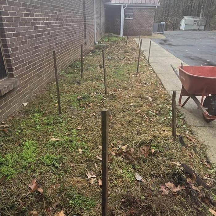 478923948_540885435667235_1247663679161956693_n