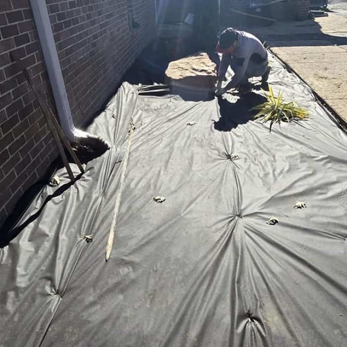 479185462_540885232333922_3852301326170472048_n