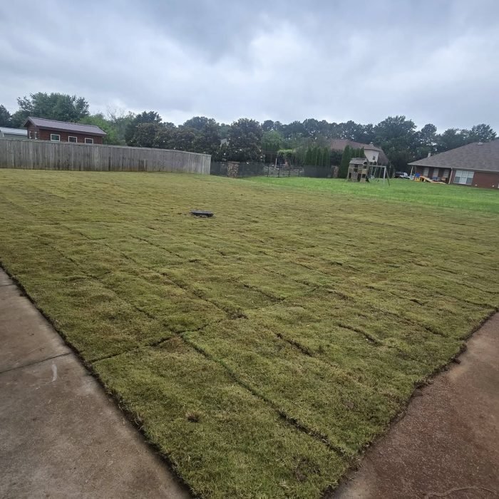 514348825_646050191817425_6436241953995079178_n