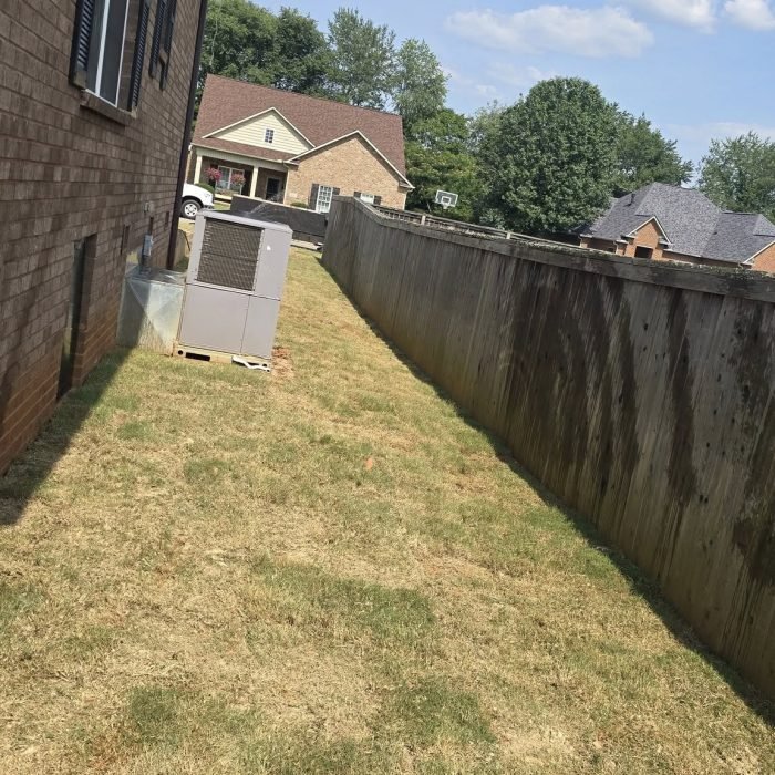 515063937_646049915150786_8249488845303112439_n