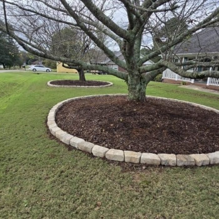 Imagen de WhatsApp 2025-10-06 a las 07.13.42_a1be29cf