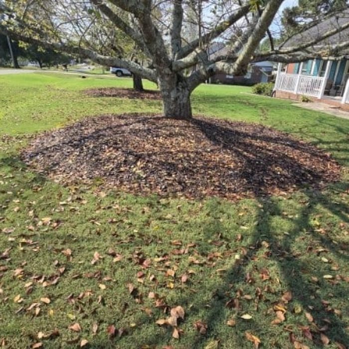 Imagen de WhatsApp 2025-10-06 a las 07.13.42_afb91961