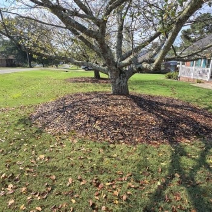 Imagen de WhatsApp 2025-10-06 a las 07.13.42_f40c70b5