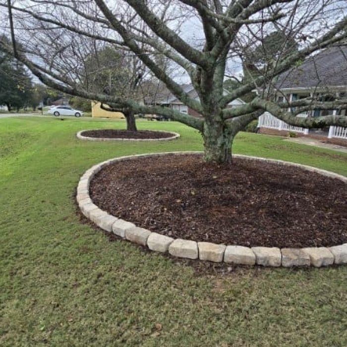 Imagen de WhatsApp 2025-10-06 a las 07.13.43_23c4d483