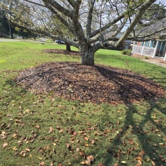 Imagen de WhatsApp 2025-10-06 a las 07.13.43_d77daf5e