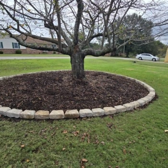 Imagen de WhatsApp 2025-10-06 a las 07.13.44_8e1545fb