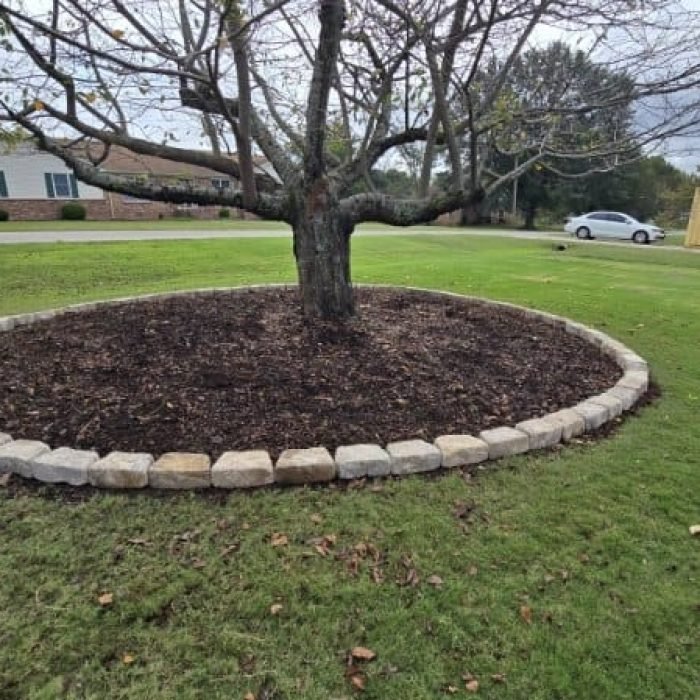 Imagen de WhatsApp 2025-10-06 a las 07.13.44_ab4f5f56